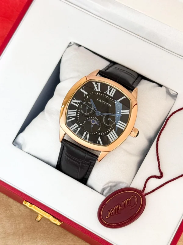 Cartier Diastar First Copy Watch (3) Cartier Diastar First Copy Watch