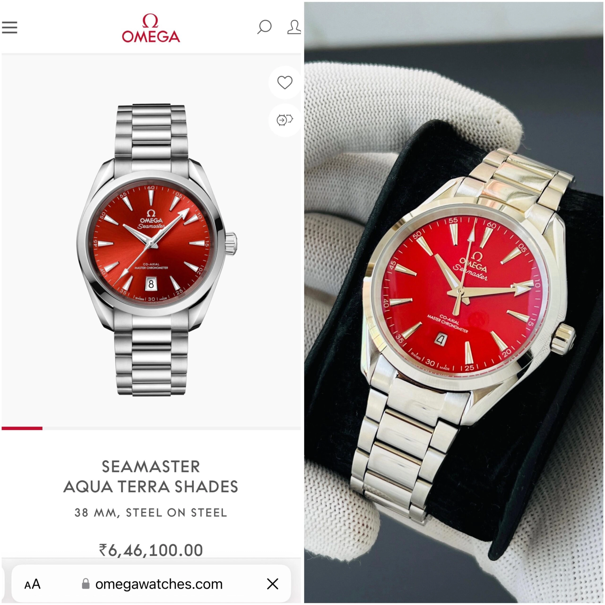 Omega Seamaster Aqua Terra Watch in India